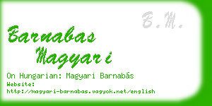 barnabas magyari business card